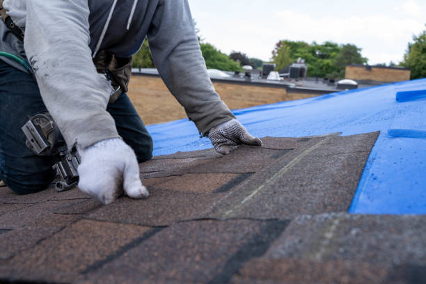 Best Heating Cable for Roof Installation  in Woodbine, GA