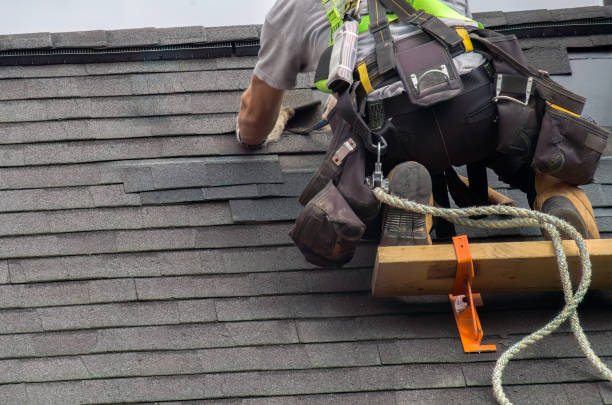 Best Storm Damage Roof Repair  in Woodbine, GA