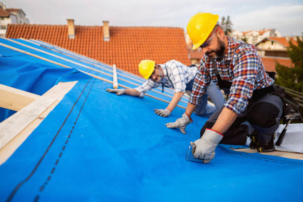 Best Roof Waterproofing Services  in Woodbine, GA