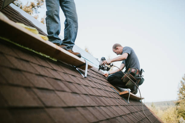 Best Shingle Roofing Installation  in Woodbine, GA