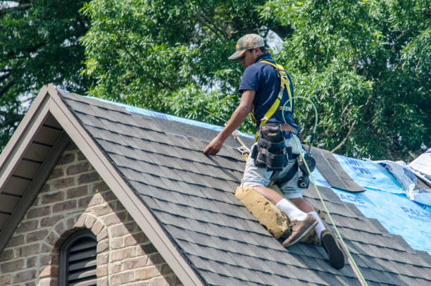 Best New Roof Installation  in Woodbine, GA